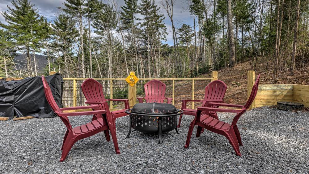 Honey Bear Lodge ブルーリッジ山脈 エクステリア 写真